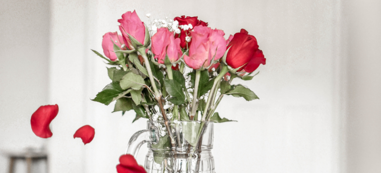 flores rojas y rosas